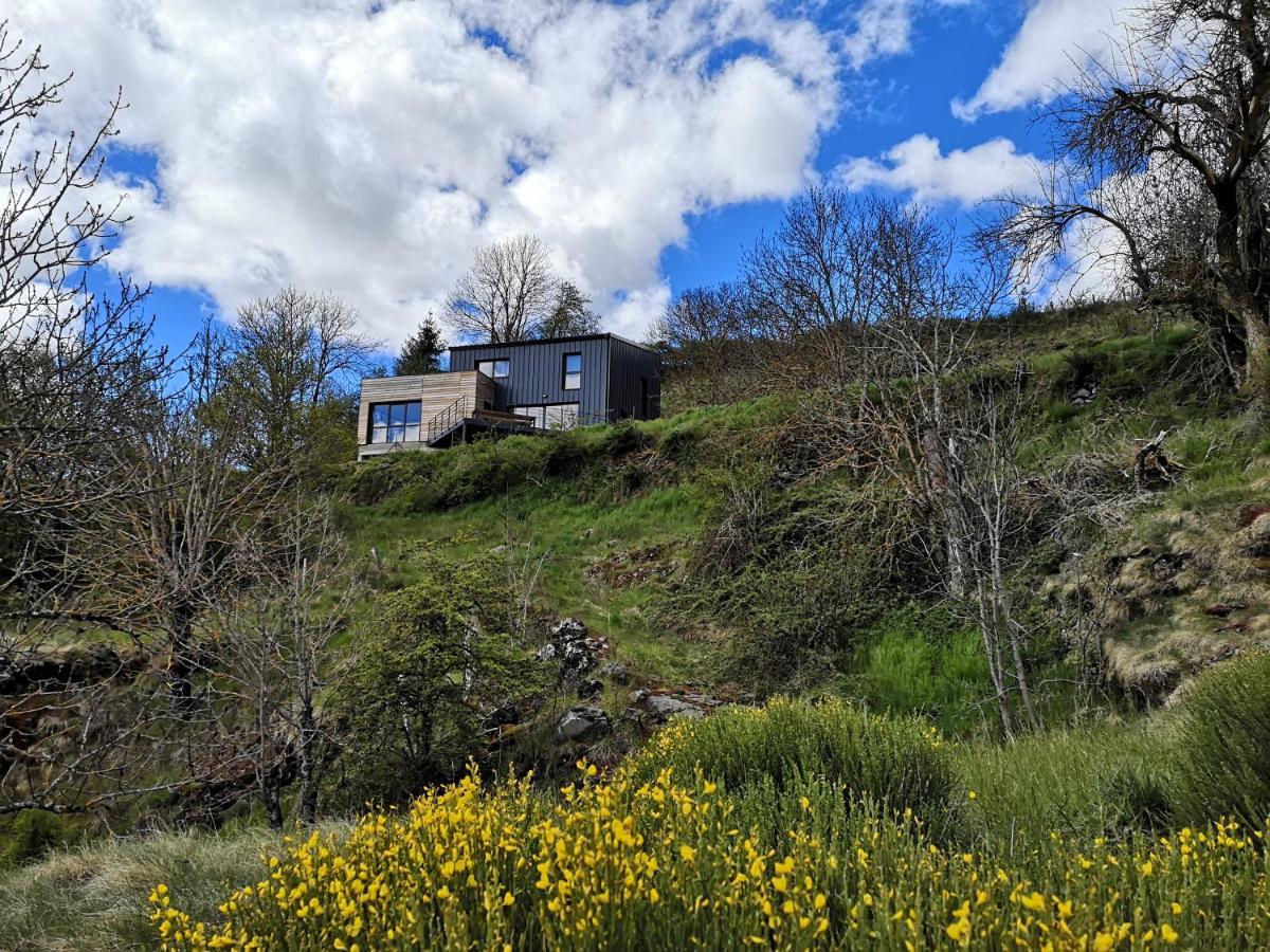 Maison D'Architecte En Pleine Nature Arlempdes Екстер'єр фото
